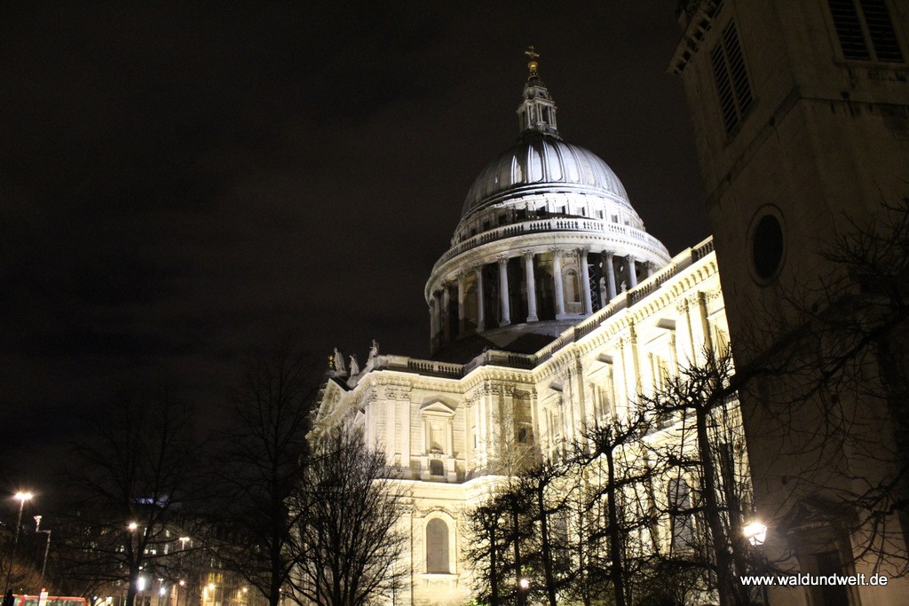Die Kuppel der St. Paul’s Cathedral bei Nacht.