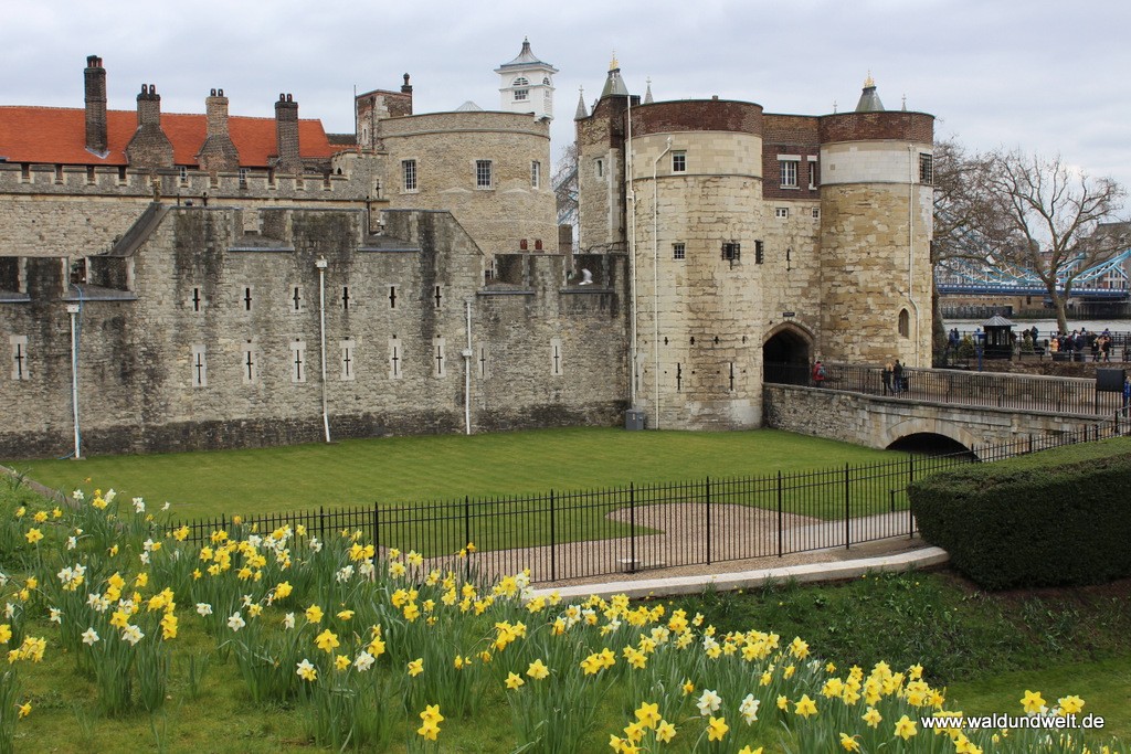 Der Haupteingang zum Tower of London wird von Blumen flankiert.
