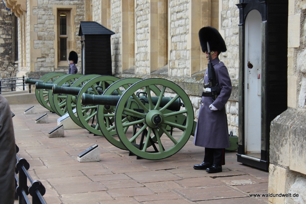 Die Wachen, die sich stundenlang nicht bewegen, gehören zu London einfach dazu - auch im Tower.