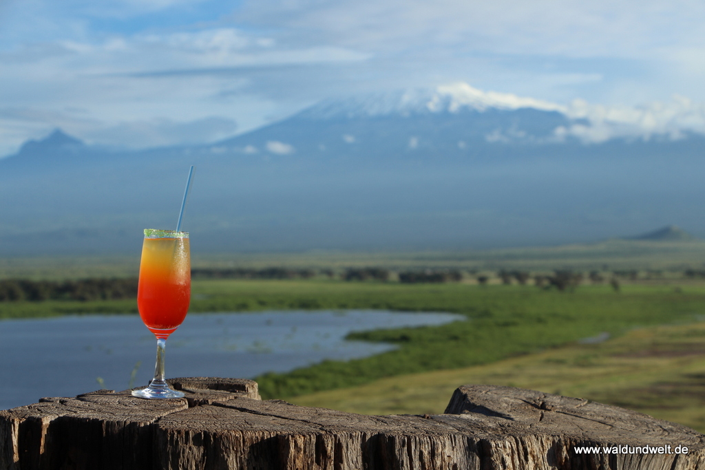Amboseli Nationalpark  in Bildern - Safari in Kenia