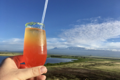 Amboseli Nationalpark  in Bildern - Safari in Kenia