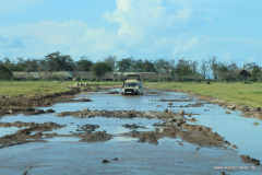 Amboseli Nationalpark  in Bildern - Safari in Kenia