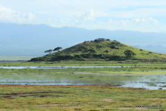 Amboseli Nationalpark  in Bildern - Safari in Kenia