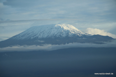 Amboseli Nationalpark  in Bildern - Safari in Kenia