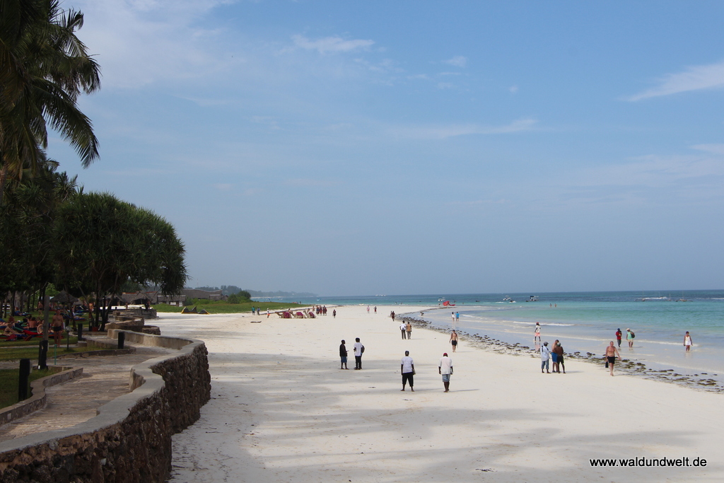 Diani Beach - Strandurlaub in Kenia