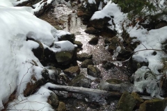 Der Seebach entspringt dem Rachelsee