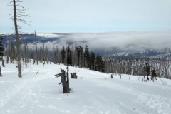 Blick in den Nachbar-Nationalpark Sumava