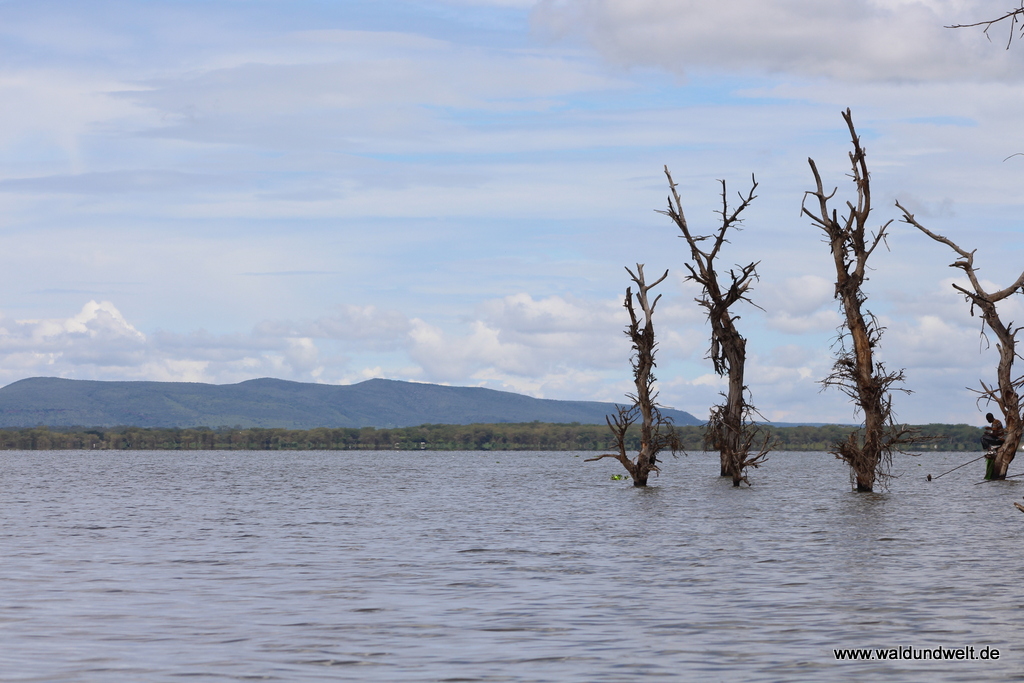Lake Naivasha  in Bildern - Safari in Kenia