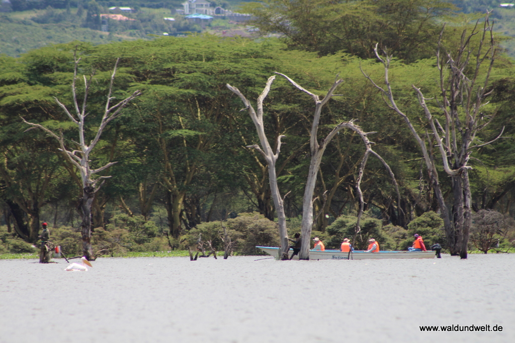 Lake Naivasha  in Bildern - Safari in Kenia