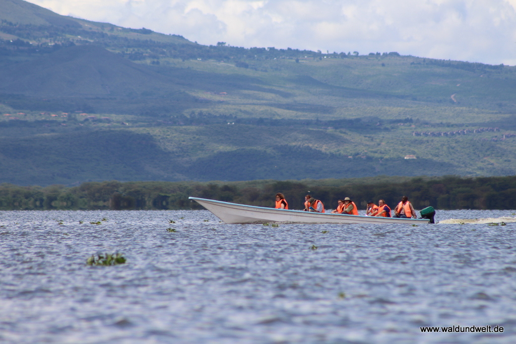Lake Naivasha  in Bildern - Safari in Kenia