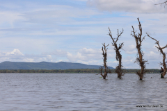 Lake Naivasha  in Bildern - Safari in Kenia