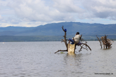 Lake Naivasha  in Bildern - Safari in Kenia