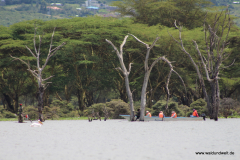 Lake Naivasha  in Bildern - Safari in Kenia