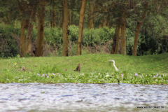 Lake Naivasha  in Bildern - Safari in Kenia