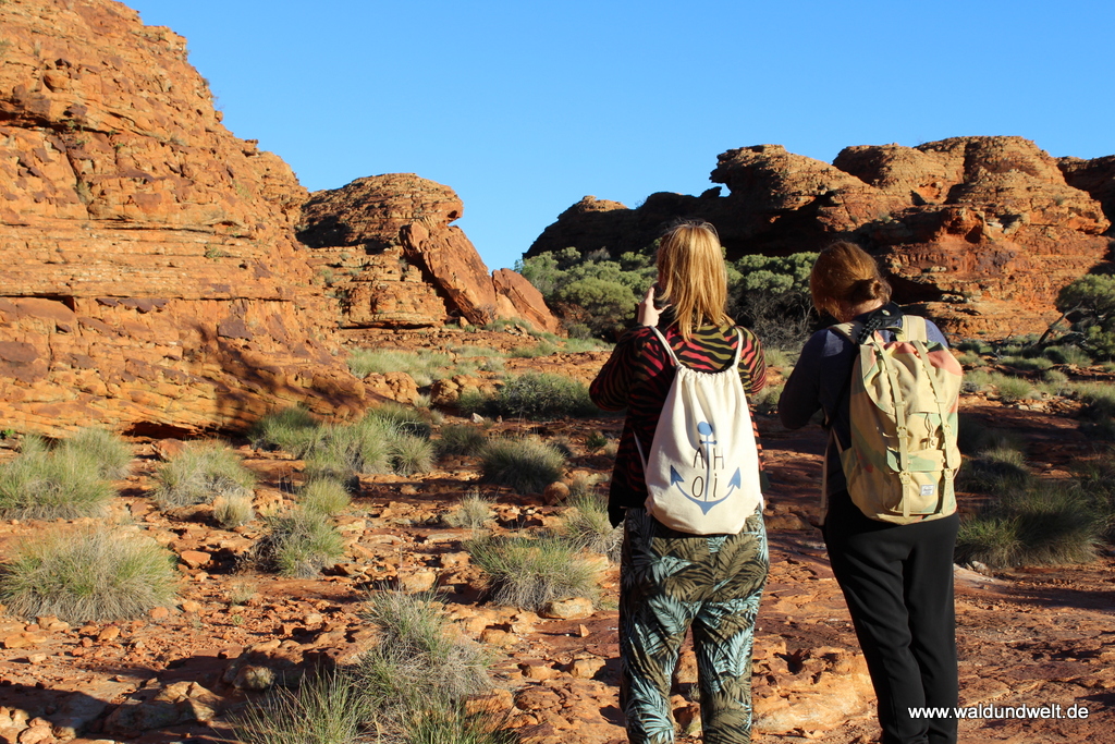 Tour durch den Kings Canyon