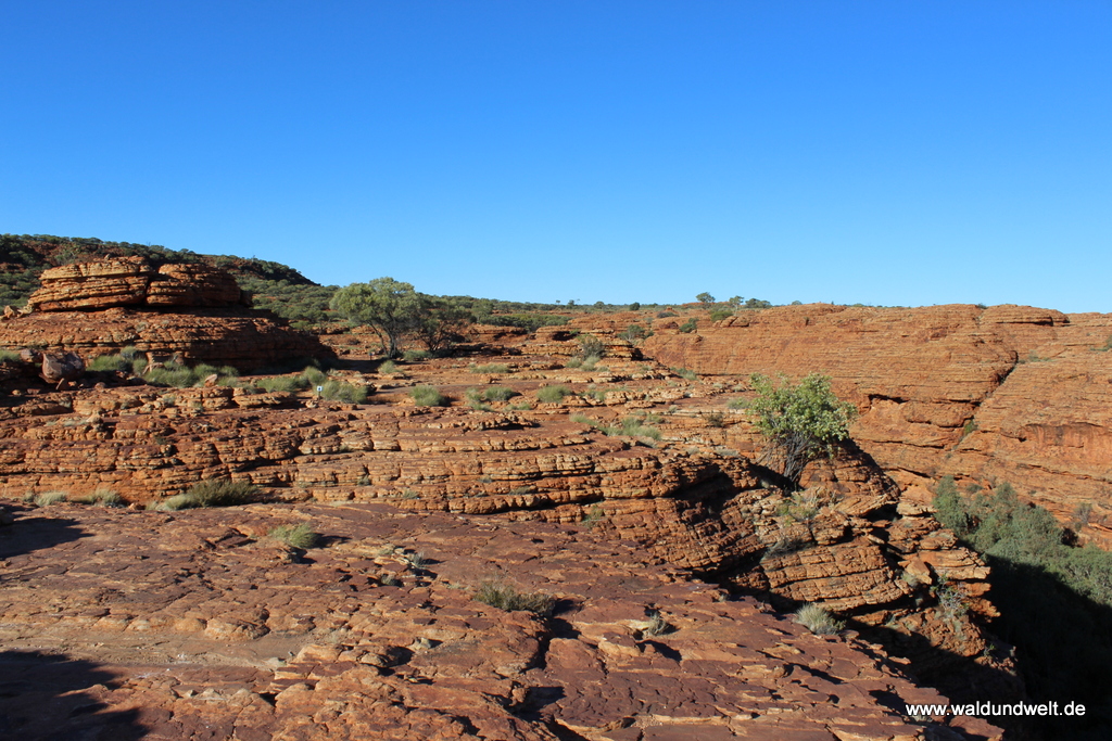 Tour durch den Kings Canyon