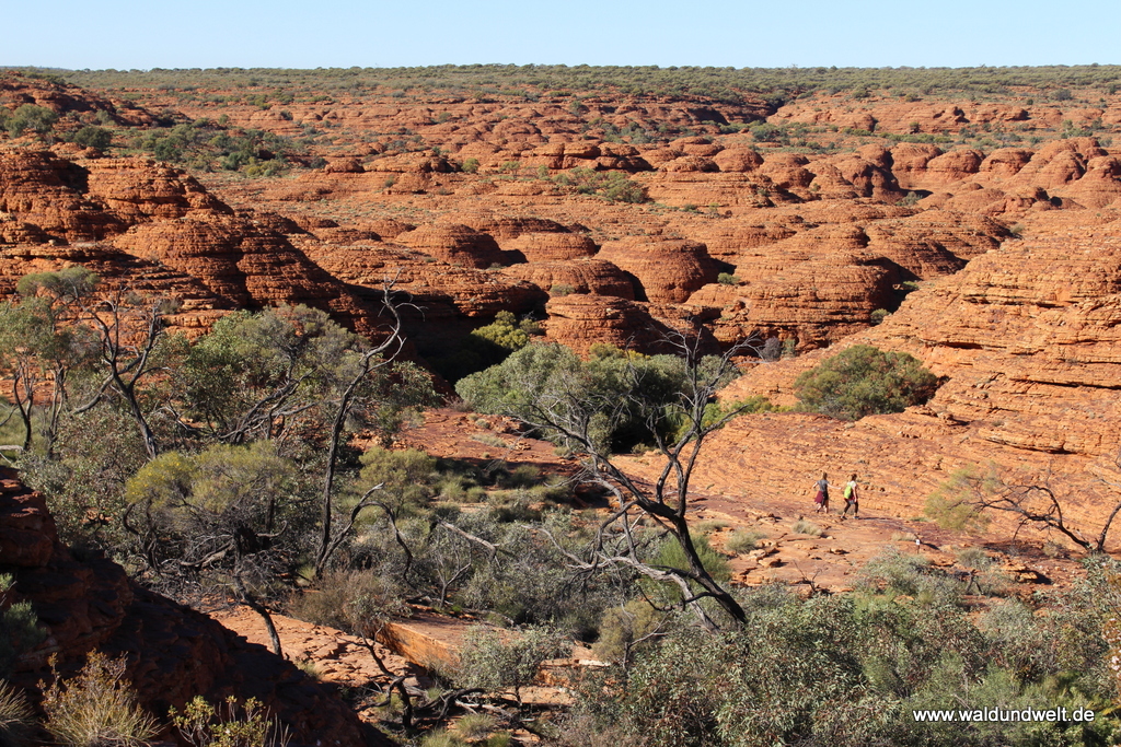 Tour durch den Kings Canyon