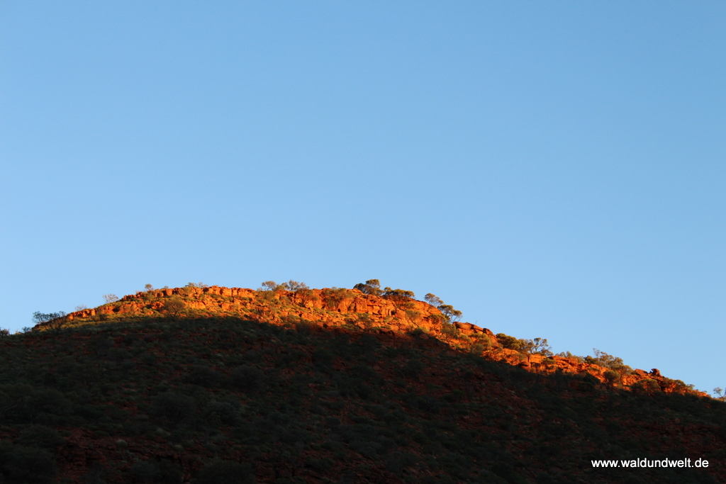 Tour durch den Kings Canyon