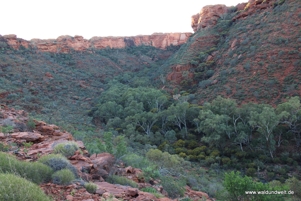 Tour durch den Kings Canyon