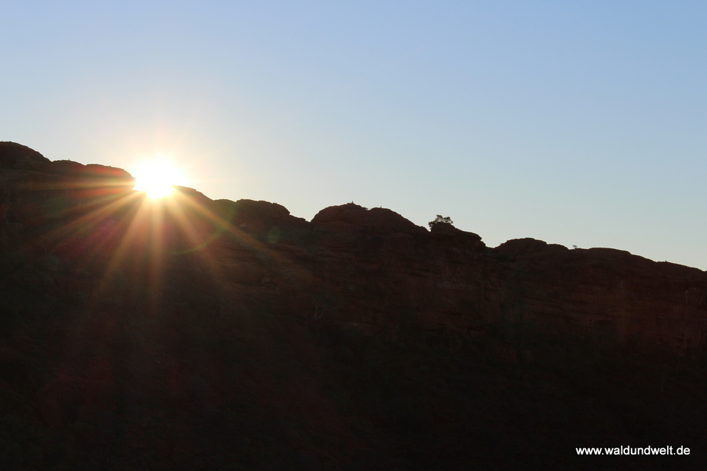 Tour durch den Kings Canyon