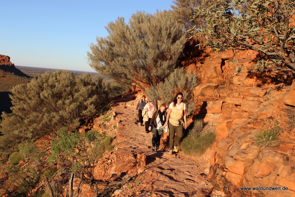 Tour durch den Kings Canyon