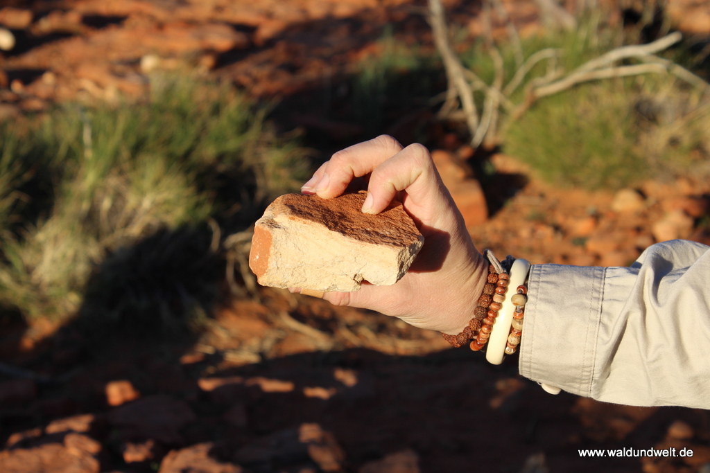Tour durch den Kings Canyon