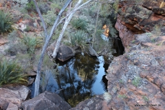 Tour durch den Kings Canyon