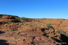 Tour durch den Kings Canyon