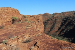 Tour durch den Kings Canyon