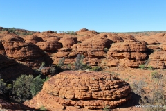 Tour durch den Kings Canyon