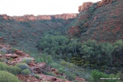 Tour durch den Kings Canyon