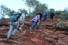 Tour durch den Kings Canyon