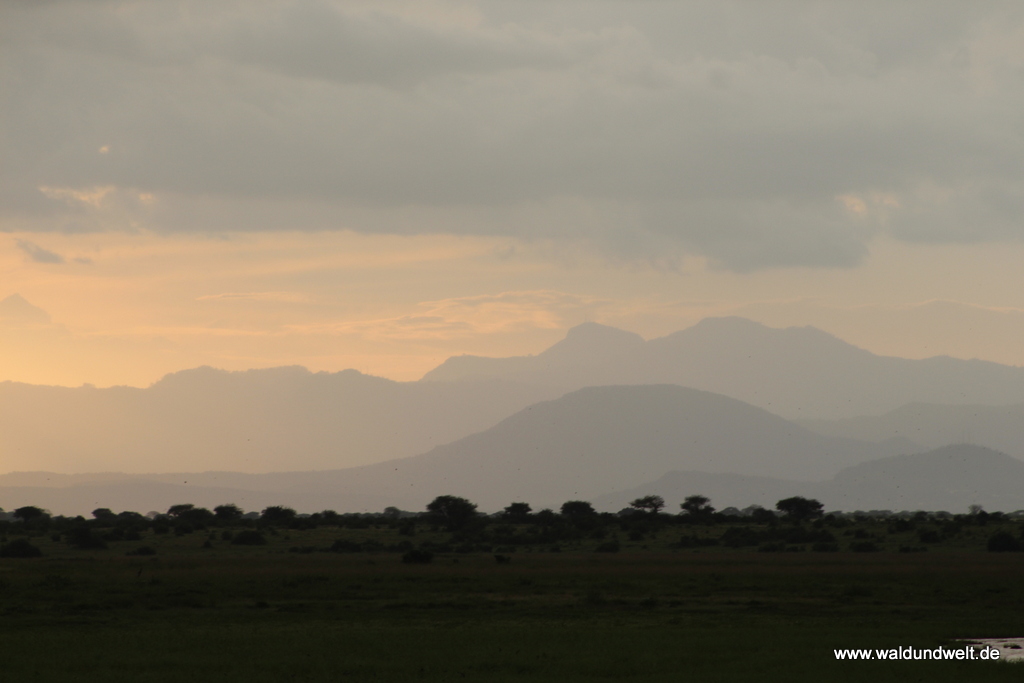 Tsavo-Ost-Nationalpark  in Bildern - Safari in Kenia