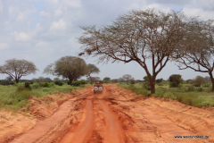 Tsavo-Ost-Nationalpark  in Bildern - Safari in Kenia