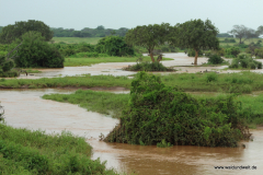 Tsavo-Ost-Nationalpark  in Bildern - Safari in Kenia
