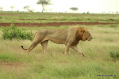 Tsavo-Ost-Nationalpark  in Bildern - Safari in Kenia