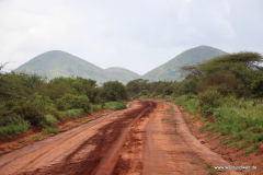 Tsavo-West-Nationalpark  in Bildern - Safari in Kenia