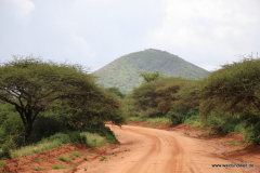 Tsavo-West-Nationalpark  in Bildern - Safari in Kenia