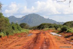 Tsavo-West-Nationalpark  in Bildern - Safari in Kenia