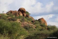 Tsavo-West-Nationalpark  in Bildern - Safari in Kenia
