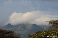Tsavo-West-Nationalpark  in Bildern - Safari in Kenia