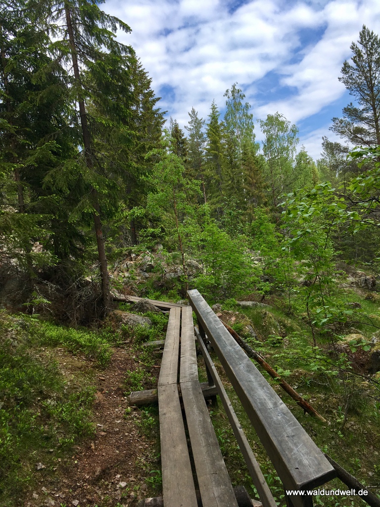 Wanderung durch den Nationalpark Skuleskogen.