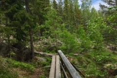 Wanderung durch den Nationalpark Skuleskogen.