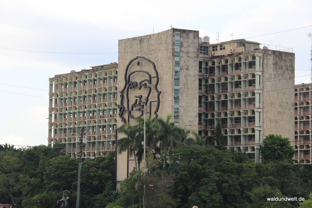 Autor Gregor Wolf im Cabrio am Plaza de la Revolución in Havanna.