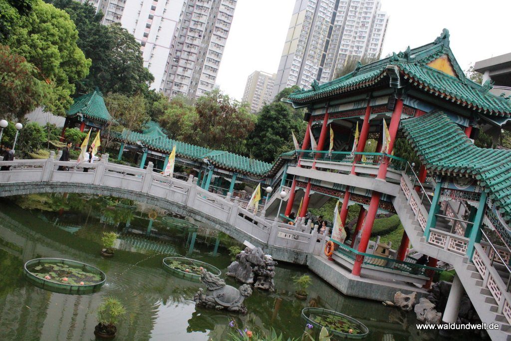 Garten im Wong-Tai-Sin-Tempel