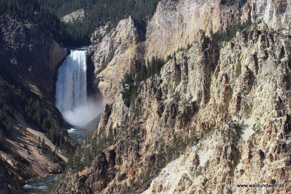 Lower Falls im Grand Canyon of the Yellowstone